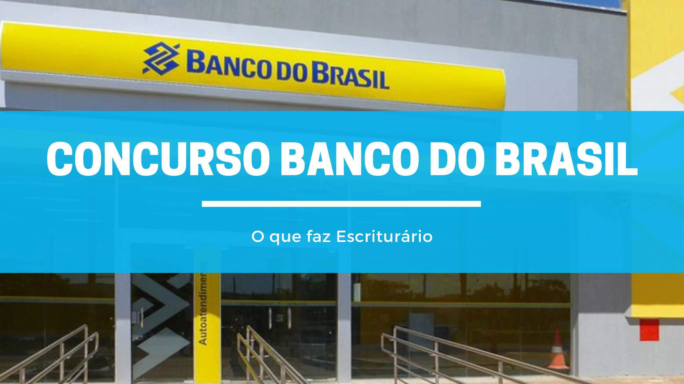 O Que Faz Um Escriturário Do Banco Do Brasil? | Blog EnConcursos